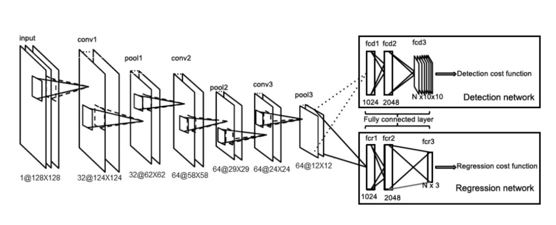 Network Architecture